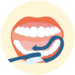 Comment bien se brosser les dents